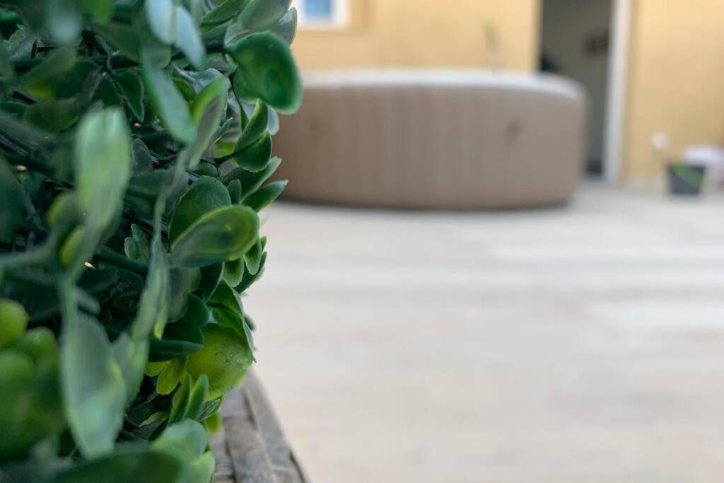Ferienwohnung Casa Del Arbol En El Delta Del Ebro Deltebre Exterior foto